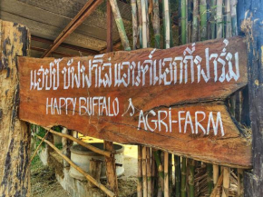 Happy buffalo and Hostel farm